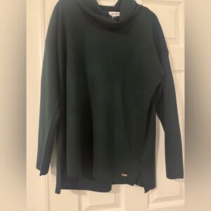 Calvin Klein Women's Green Chevron Turtleneck Sweater
